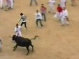 Compilation of Runaway Bulls