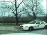 Dog [Pitbull] Attacks Police Car Rips Off Bumper!!